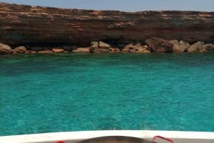 Expérience exclusive : catamaran premium d'Ibiza à Formentera