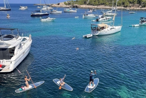 Experience Crystal paddle sup Tours + snorkel