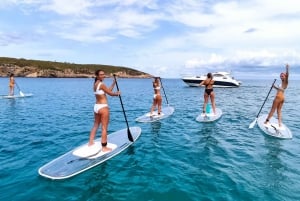 Experience Crystal paddle sup Tours + snorkel