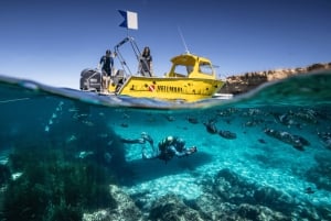 Formentera: prova l'esperienza subacquea nel Parco Naturale