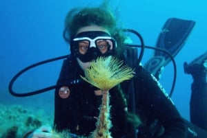 Formentera: prova l'esperienza subacquea nel Parco Naturale