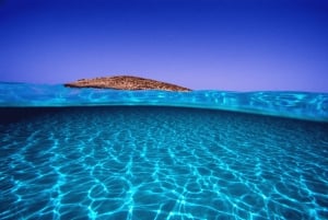 Formentera: prova l'esperienza subacquea nel Parco Naturale