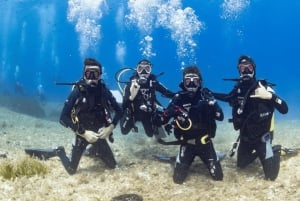 Formentera: prova l'esperienza subacquea nel Parco Naturale