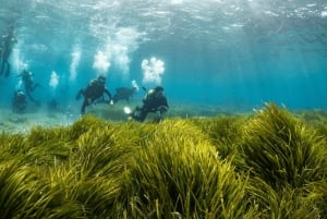 Formentera: prova l'esperienza subacquea nel Parco Naturale