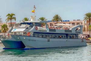 Ibiza: Platja d'en Bossa Round-Trip Transfer to Formentera