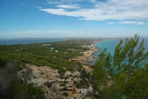 From Guided Excursion to Formentera