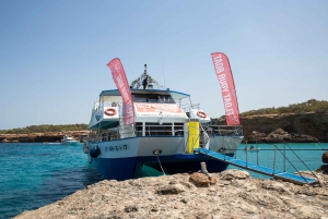 From Ibiza: Beach Hopping and Paddle Cruise with Drinks