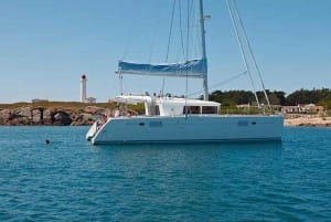 Da Ibiza: gita in catamarano privato di Espalmador e Formentera