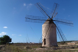From Ibiza: Ferry and Guided Bus Excursion in Formentera