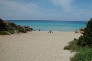 Ibizalta: Lautta- ja opastettu bussiretki Formenterassa