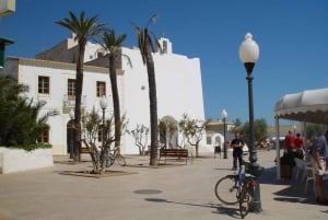 De Ibiza: Ferry e excursão de ônibus guiada em Formentera
