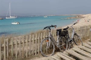 De Ibiza: Ferry e excursão de ônibus guiada em Formentera