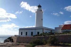 From Ibiza: Ferry and Guided Bus Excursion in Formentera