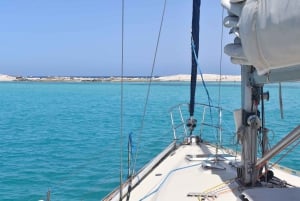 From Ibiza: Island Highlights & Formentera Private Boat Tour