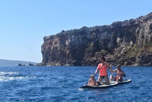 From Ibiza: Island Highlights & Formentera Private Boat Tour