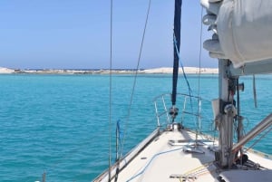 Von Ibiza aus: Insel-Highlights & Formentera Private Bootsfahrt