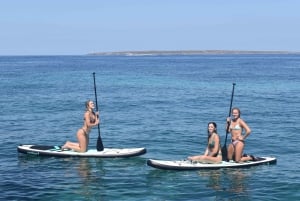 De Ibiza: Destaques da ilha e passeio de barco particular em Formentera