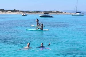 Från Ibiza: Öns höjdpunkter & privat båttur till Formentera