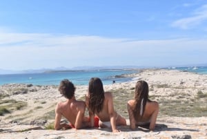 Da Ibiza: Punti salienti dell'isola e gita in barca privata a Formentera