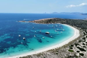 Fra Ibiza: Øens højdepunkter og privat bådtur til Formentera