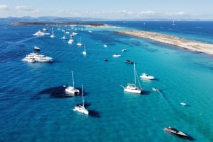 Från Ibiza: Öns höjdpunkter & privat båttur till Formentera