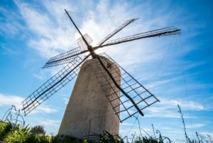 Fra Ibiza: Færgebillet tur/retur til Formentera