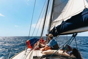 From Ibiza: Sailing Tour to Formentera with Beach Stops