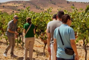 Fra Madrid: Besøk Cuenca og en vingård i det spanske Toscana