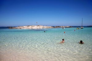 Von Santa Eulalia: Formentera Hin- und Rückfahrt mit der Fähre