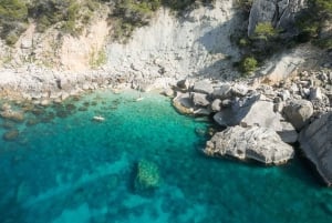 Ibiza: Ganztägiger Bootscharter auf einer traditionellen balearischen Yacht