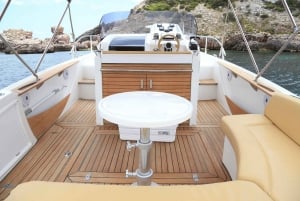 Ibiza: 9-persoons privé boot huren, Formentera & hoogtepunten