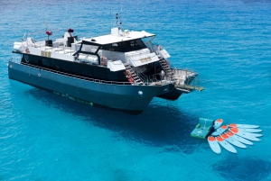 Ibiza: All-Inclusive Boat Trip to Formentera