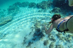 Ibiza: Beach Hopping Cruise w/ Paddleboard, Food, & Drinks