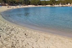 Ibiza: Strände und Höhlen Instagram-Schnorchel-Erlebnis