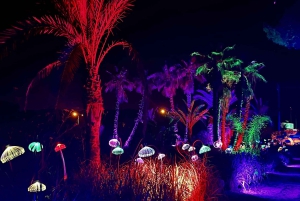 Ibiza: Bibo Park excursion