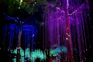 Ibiza: Bibo Park excursion