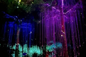 Ibiza: escursione al Bibo Park