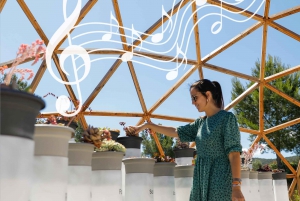 Rondleiding in BiBo Park: Ibiza's Biotech Botanische Tuin