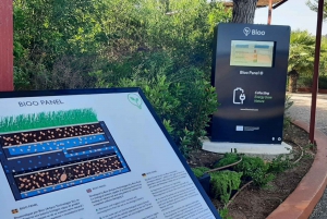 Rondleiding in BiBo Park: Ibiza's Biotech Botanische Tuin