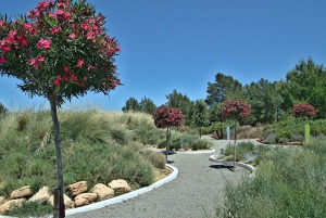 Rondleiding in BiBo Park: Ibiza's Biotech Botanische Tuin