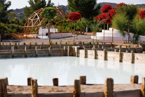 Rondleiding in BiBo Park: Ibiza's Biotech Botanische Tuin