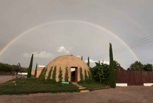 Rondleiding in BiBo Park: Ibiza's Biotech Botanische Tuin