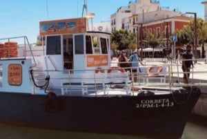 Ibiza: Boat transfer to Playa d'en Bossa and Figueretes