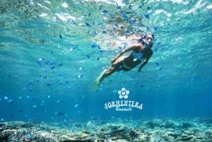 Ibiza: Formentera Cruise with Meals, Open Bar, Sunset & DJ