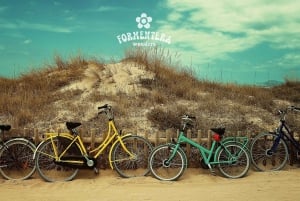Ibiza: Formentera Cruise with Meals, Open Bar, Sunset & DJ