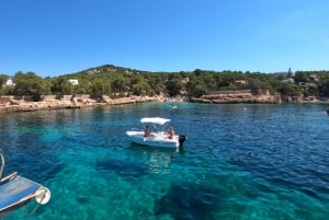 Ibiza: Excursión en barco a las Islas Margaritas y ticket de entrada al Acuario