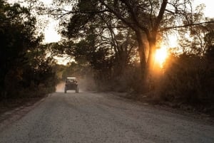Ibiza : Visite guidée en buggy avec arrêts sur la plage