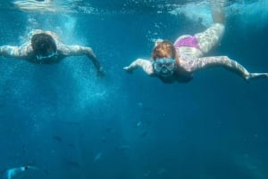 Ibiza: Cala Salada & Cala Gracio Sunset Boat Trip & Snorkel