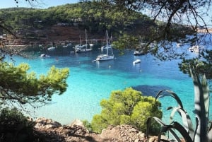 Ibiza: Cala Salada & North med drinkar och snorkling