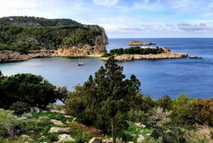 Ibiza: Can Marçá Cave Guided Tour